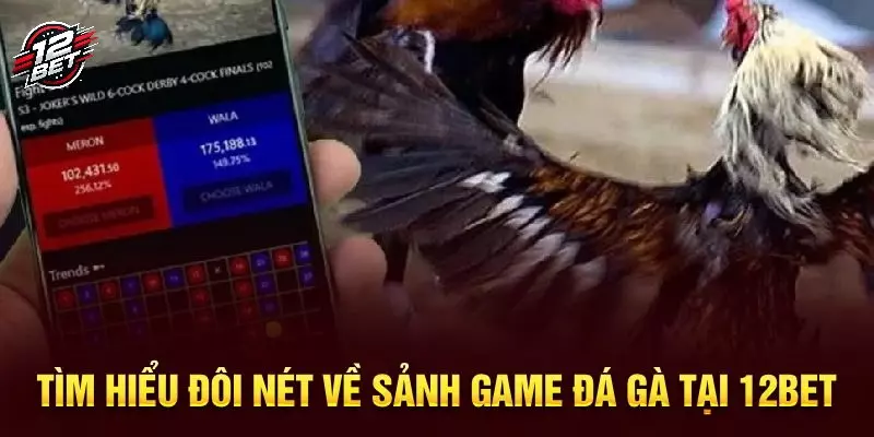 12BET - Trang Chủ 12BET COM - Nhà Cái Top 1 Châu Á Hiện Nay 34 Tinh hoa làng gà để kê thủ thỏa mãn xanh chín