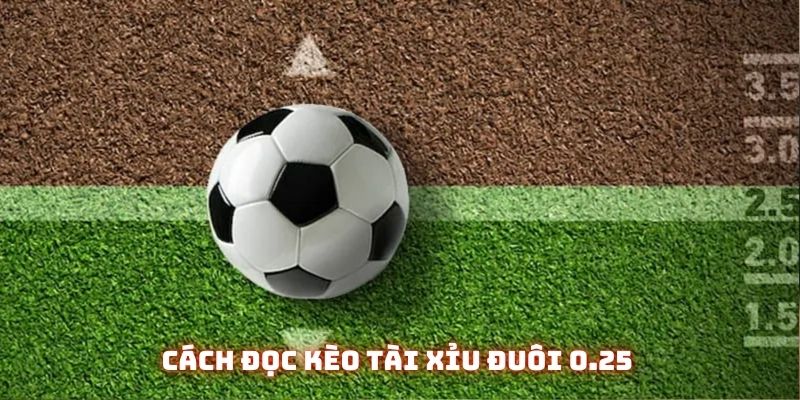 Cách tính tài xỉu bóng đá: Tổng hợp những mốc cơ bản 3 Đuôi 0.25 là cách chơi khá an toàn phù hợp với nhiều người chơi