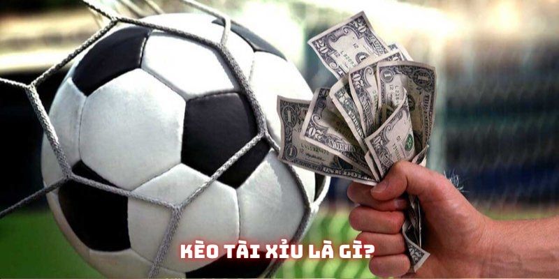 Cách tính tài xỉu bóng đá: Tổng hợp những mốc cơ bản 2 Định nghĩa căn bản về kèo tài xỉu mà mọi bet thủ đều phải biết