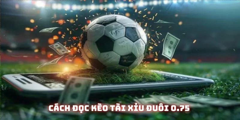 Cách tính tài xỉu bóng đá: Tổng hợp những mốc cơ bản 4 Đuôi 0.75 cũng rất phổ biến và được ưa chuộng tại thị trường Việt Nam